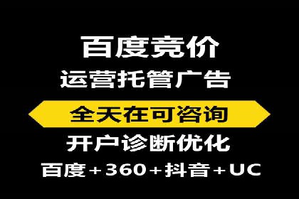 网络营销新篇章：竞价推广案例分析